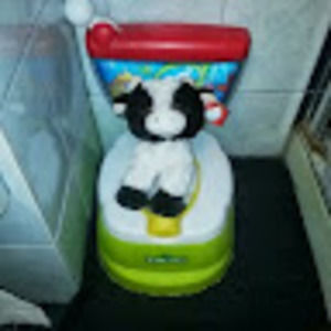 Meet your Posher, Leslie